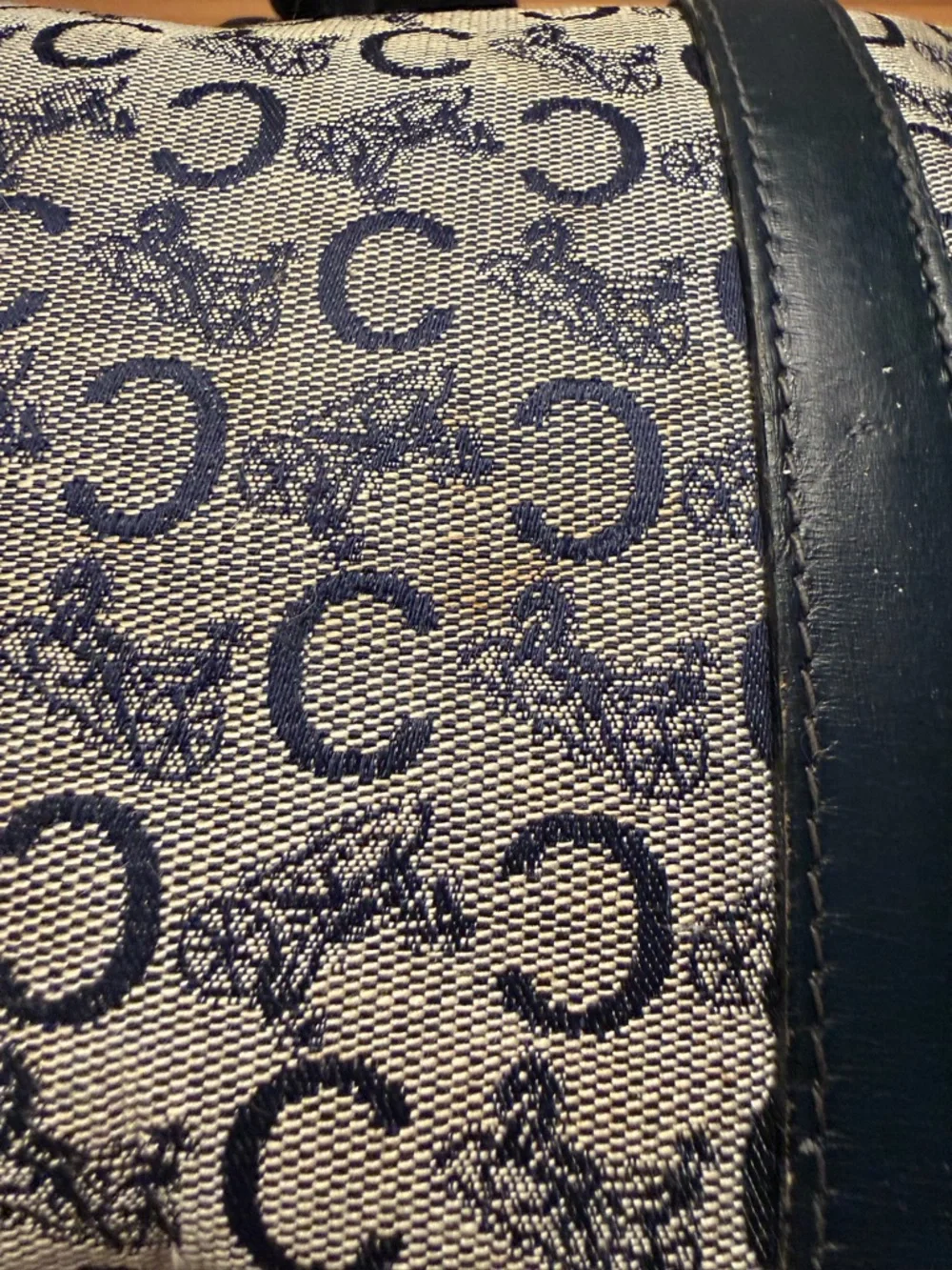 Celine overview authentic